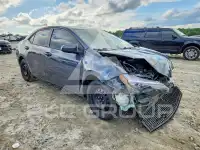 2019 Toyota COROLLA photo