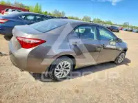 2019 Toyota COROLLA фото