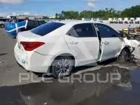 2019 Toyota COROLLA photo