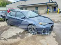 2019 Toyota COROLLA photo