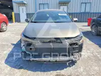 2019 Toyota COROLLA photo