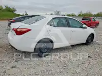 2019 Toyota COROLLA photo
