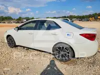 2019 Toyota COROLLA photo