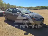 2019 Toyota COROLLA photo