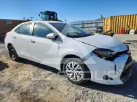 2019 Toyota COROLLA photo