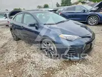 2019 Toyota COROLLA photo