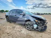 2019 Toyota COROLLA photo