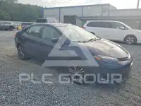 2019 Toyota COROLLA photo