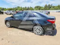 2019 Toyota COROLLA фото