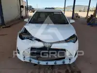 2019 Toyota COROLLA photo