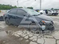 2019 Toyota COROLLA photo