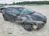 2019 Toyota COROLLA photo