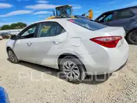 2019 Toyota COROLLA фото