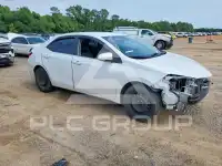 2019 Toyota COROLLA photo