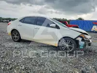 2019 Toyota COROLLA фото