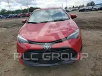 2019 Toyota COROLLA photo