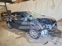 2019 Toyota COROLLA фото