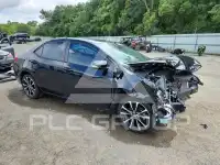 2019 Toyota COROLLA photo