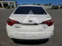 2019 Toyota COROLLA photo