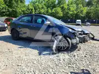 2019 Toyota COROLLA photo