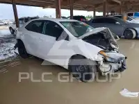 2019 Toyota COROLLA photo