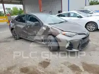 2019 Toyota COROLLA фото