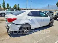 2019 Toyota COROLLA photo