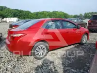 2019 Toyota COROLLA photo