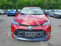 2019 Toyota COROLLA photo