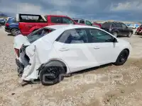2019 Toyota COROLLA фото