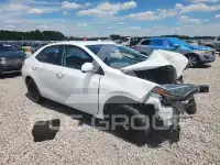 2019 Toyota COROLLA photo