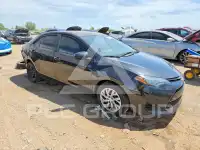2019 Toyota COROLLA фото
