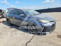2019 Toyota COROLLA photo