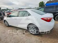 2019 Toyota COROLLA photo