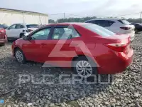 2019 Toyota COROLLA photo