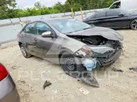 2019 Toyota COROLLA photo