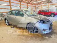 2019 Toyota COROLLA photo