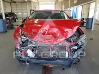 2019 Toyota COROLLA фото