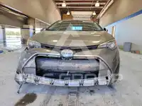 2019 Toyota COROLLA фото