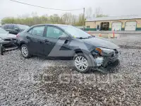 2019 Toyota COROLLA фото