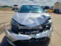 2019 Toyota COROLLA фото