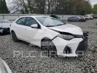 2019 Toyota COROLLA photo