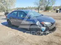 2019 Toyota COROLLA photo