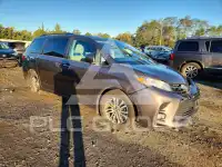 2019 Toyota SIENNA photo