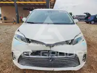 2019 Toyota SIENNA photo