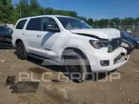 2019 Toyota SEQUOIA фото