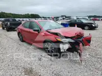 2019 Toyota CAMRY фото