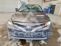 2019 Toyota CAMRY фото