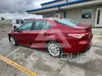 2019 Toyota CAMRY фото