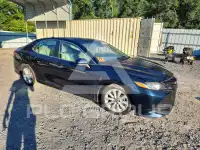 2019 Toyota CAMRY фото